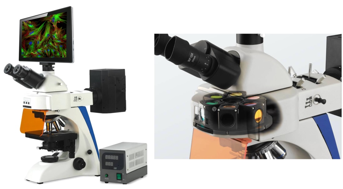 Microscopio Digitale a Fluorescenza ruota filtri