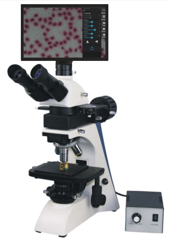 Microscopio digitale metallurgico per particle size