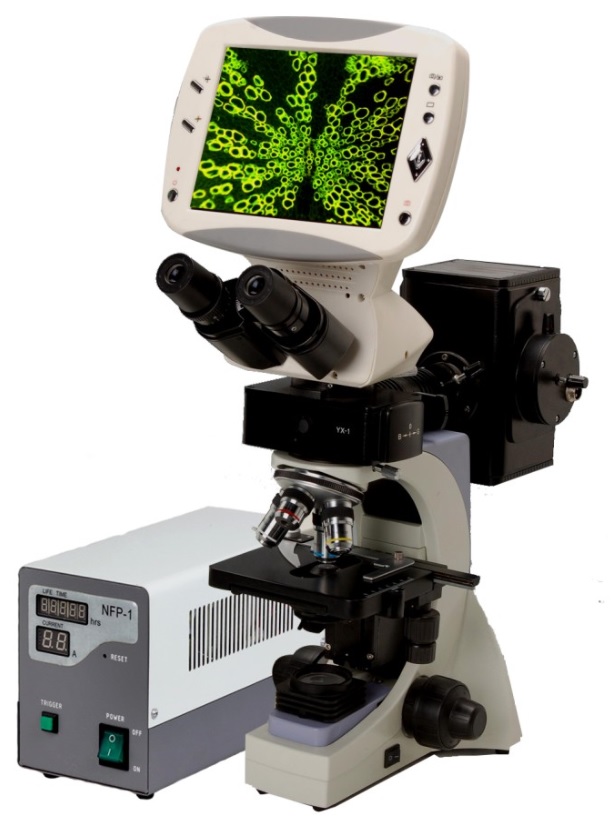 microscopio_digitale_a_fluorescenza_hr.jpg